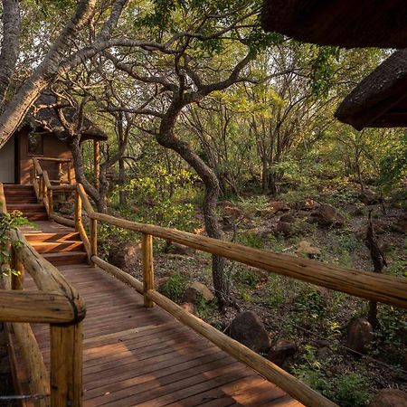 Tshwene Lodge Vaalwater Extérieur photo