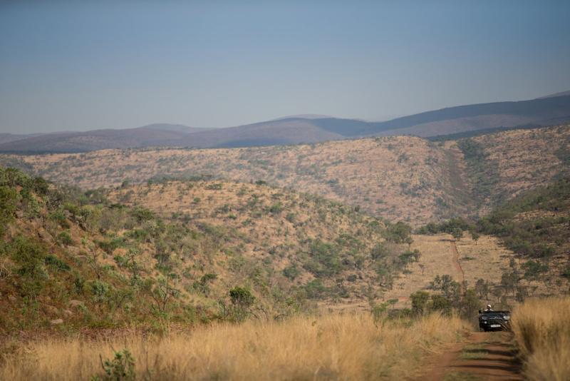 Tshwene Lodge Vaalwater Extérieur photo